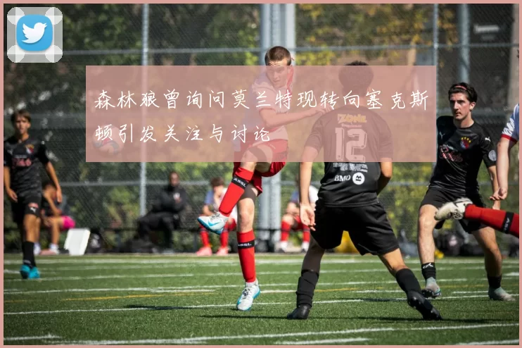 森林狼曾询问莫兰特现转向塞克斯顿引发关注与讨论